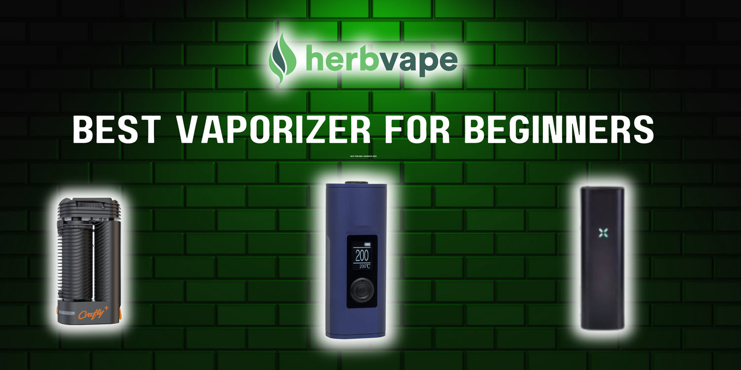 Best Vaporizer for Beginners: Your Complete Entry Guide to Vaping
