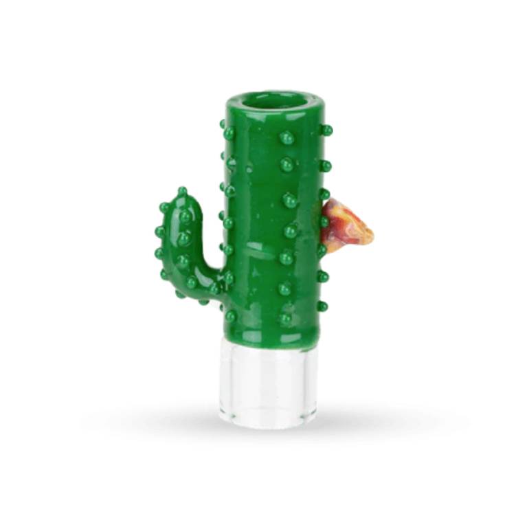 Stündenglass Hose Tip Cactus