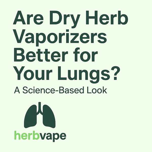 Are Dry Herb Vaporizers Better for Your Lungs? A Science-Based Look
