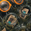 Boveda 62% 67g (100 Pack) - view 3