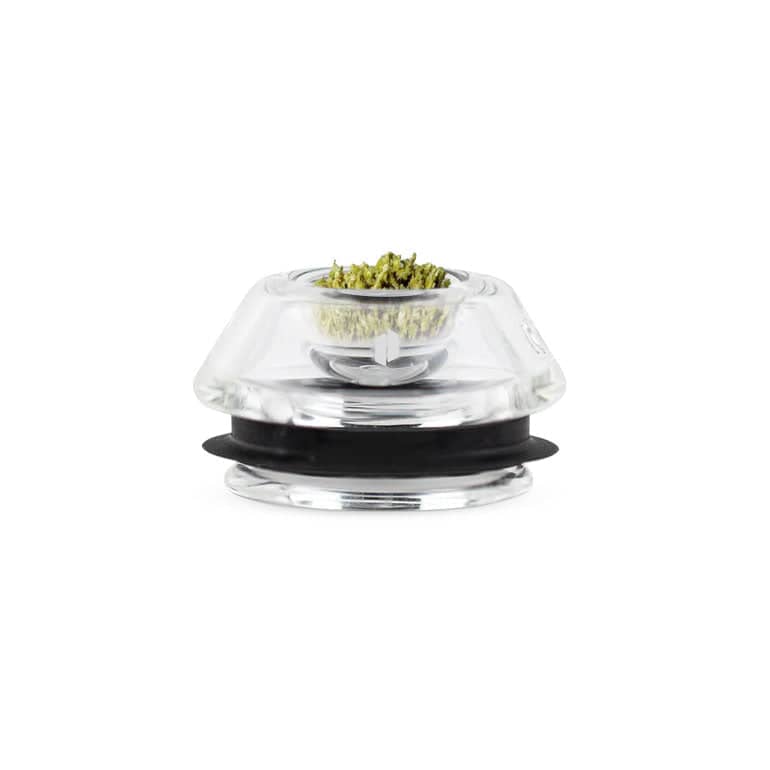 Proxy Flower Bowl